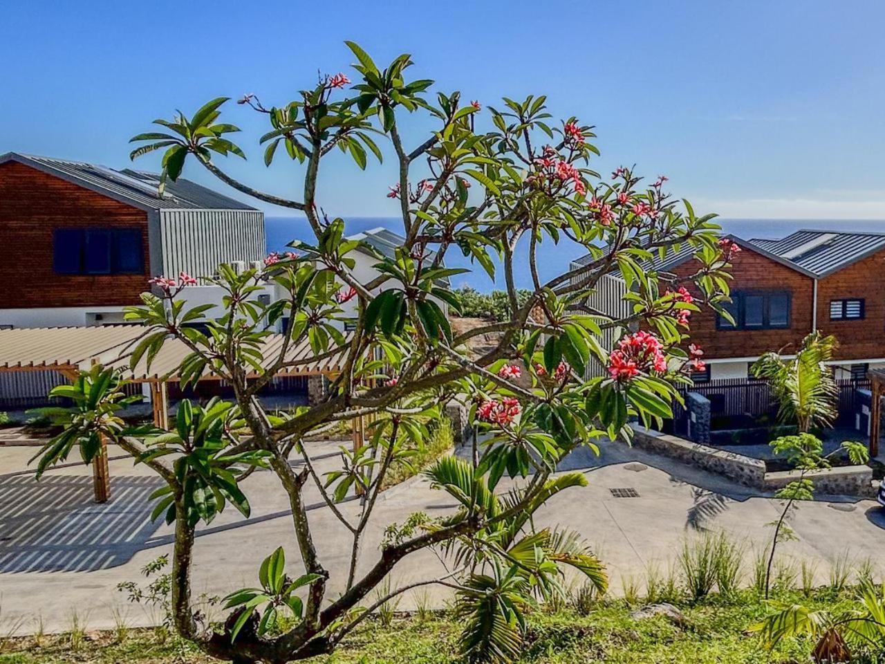 Le Reve Bleu Grand Anse Apartment เปอตี อีเลอ ภายนอก รูปภาพ