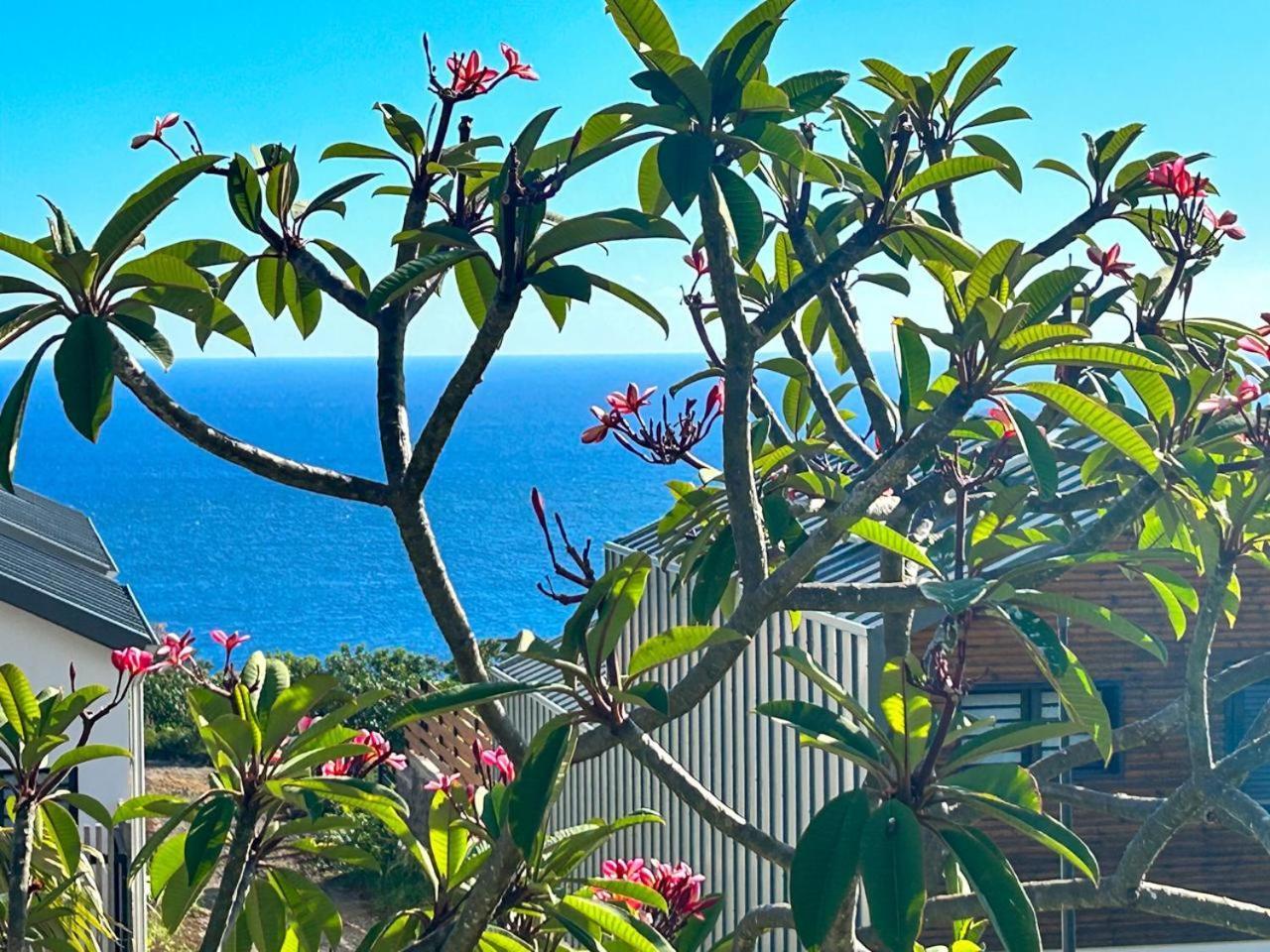 Le Reve Bleu Grand Anse Apartment เปอตี อีเลอ ภายนอก รูปภาพ